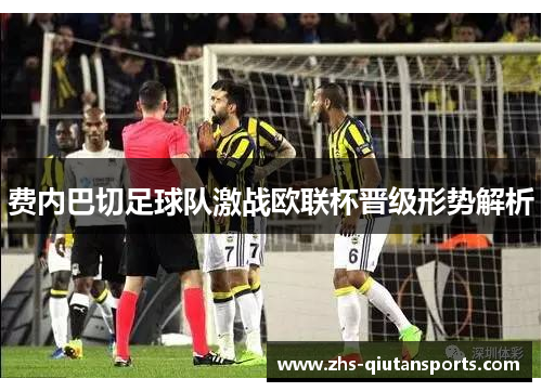 费内巴切足球队激战欧联杯晋级形势解析